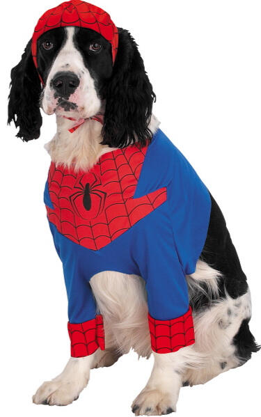 Spiderdog